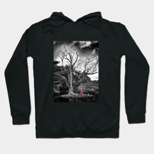 Bringing Color to the Colorless World Hoodie